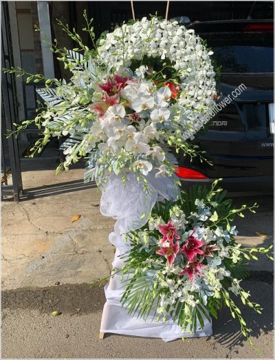 Hoa Tang Le (DucTuFlower)