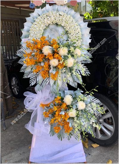 hoa-chia-buon-ductuflower