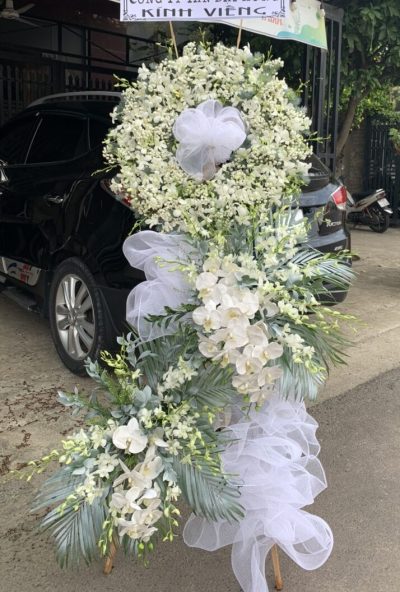 ĐÔI NGÃ CHIA XA 2